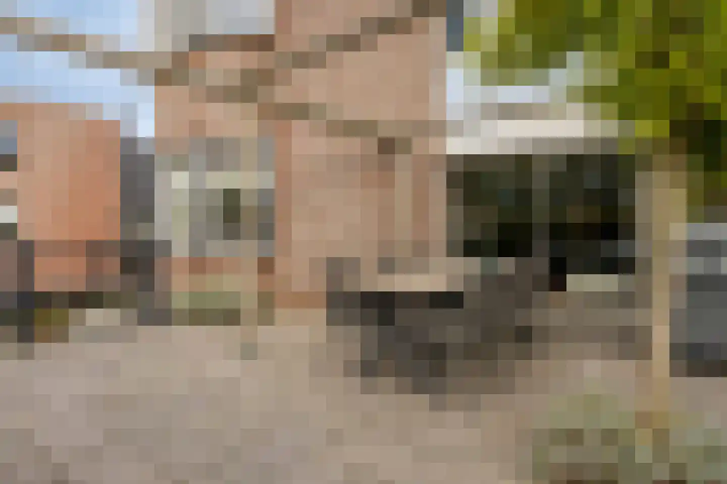 Lemmerhengst 12 Bergen op Zoom thumbnail 49