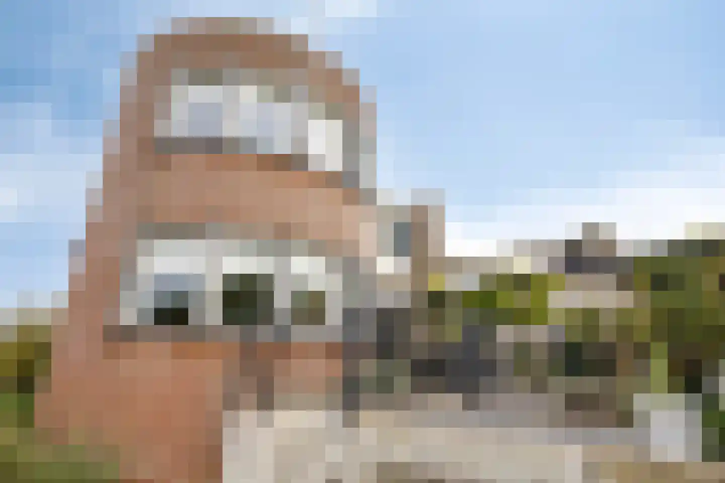 Lemmerhengst 12 Bergen op Zoom thumbnail 51