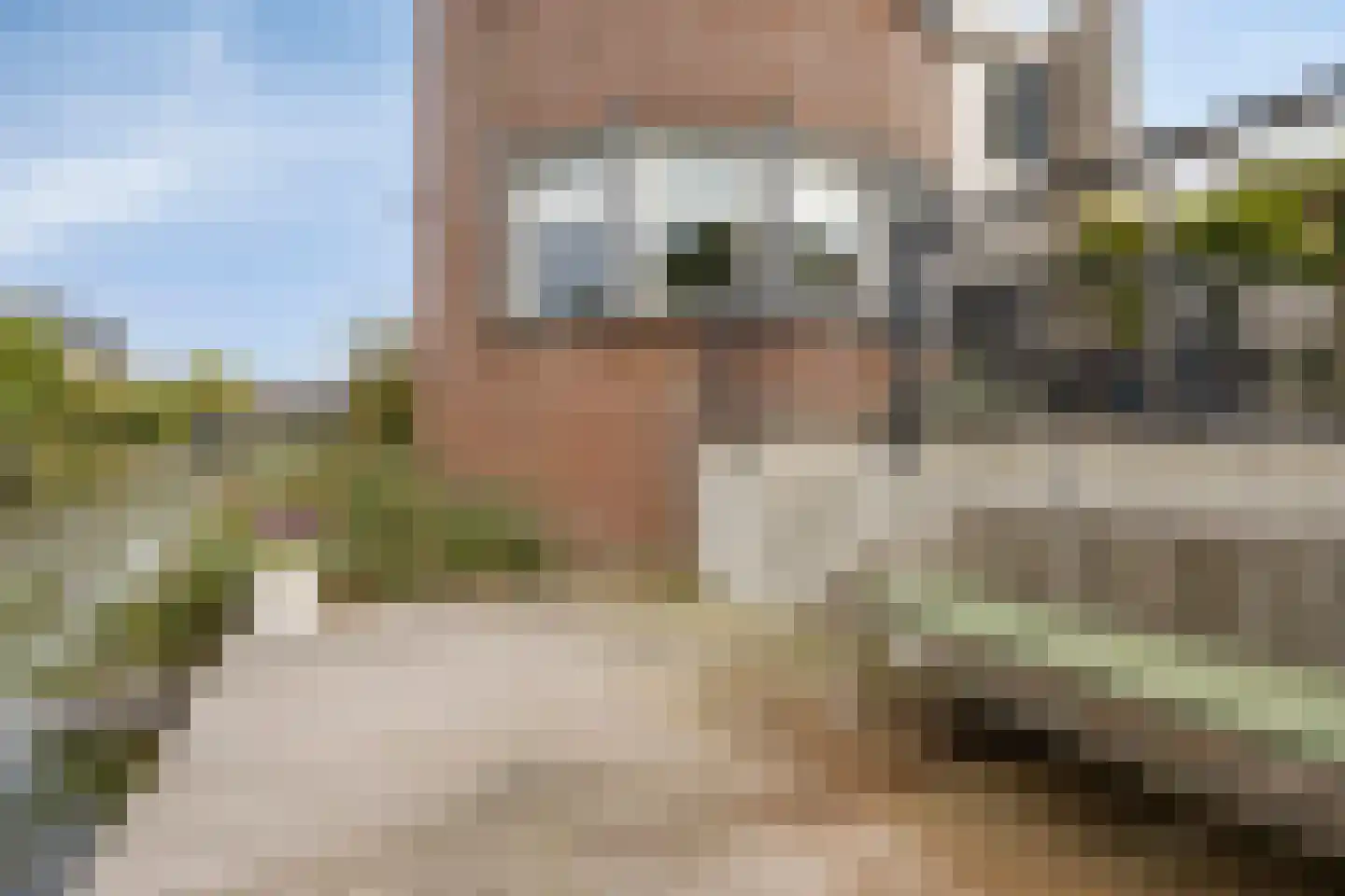 Lemmerhengst 12 Bergen op Zoom thumbnail 52