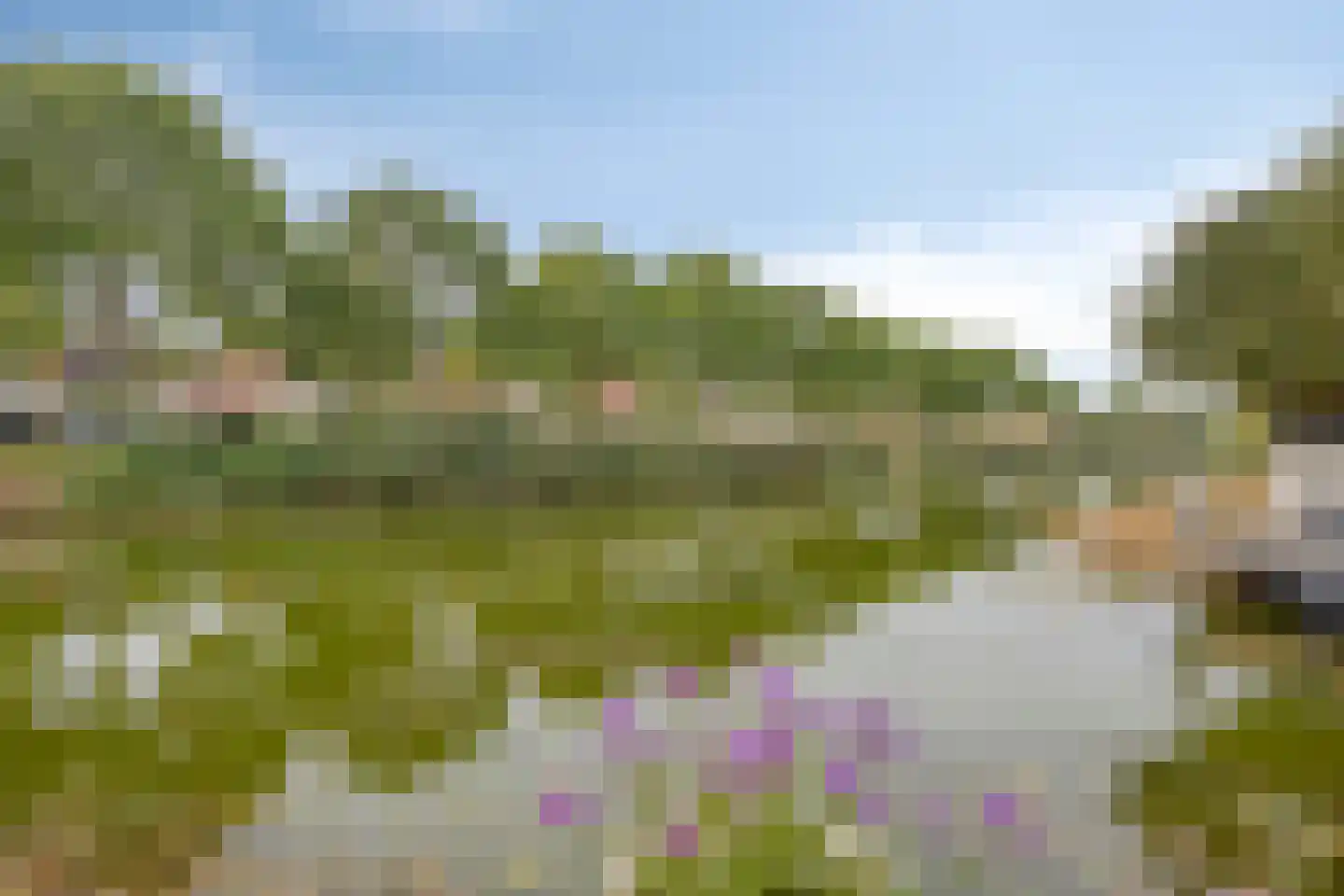 Lemmerhengst 12 Bergen op Zoom thumbnail 54