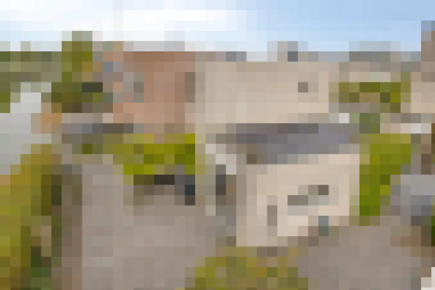 Lemmerhengst 12 Bergen op Zoom thumbnail 56