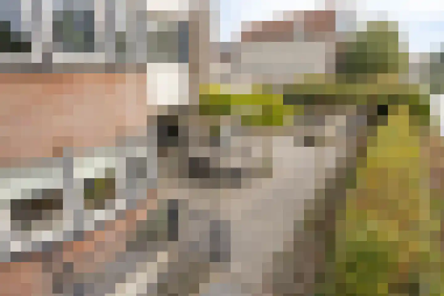 Lemmerhengst 12 Bergen op Zoom thumbnail 57