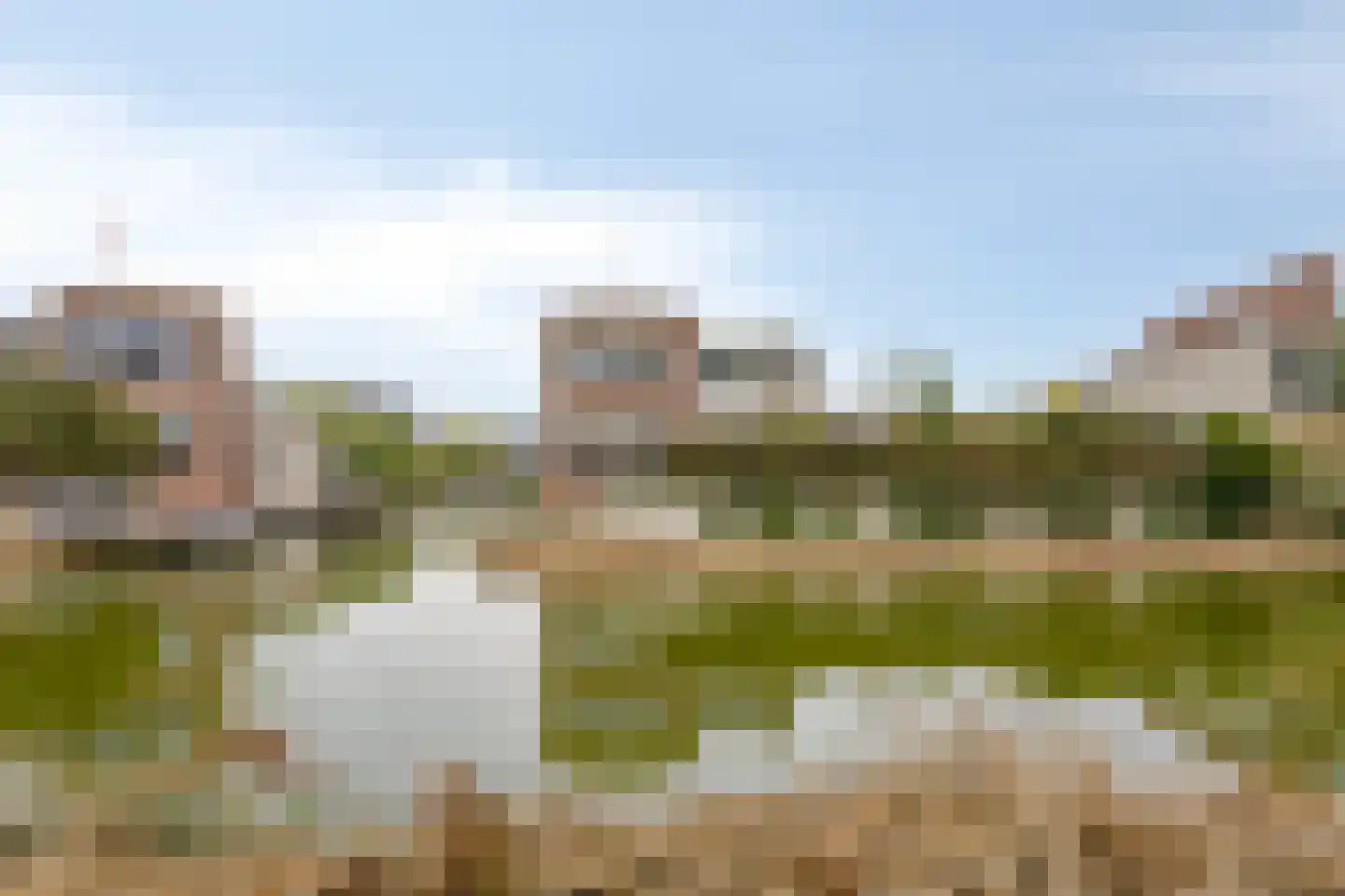 Lemmerhengst 12 Bergen op Zoom thumbnail 58