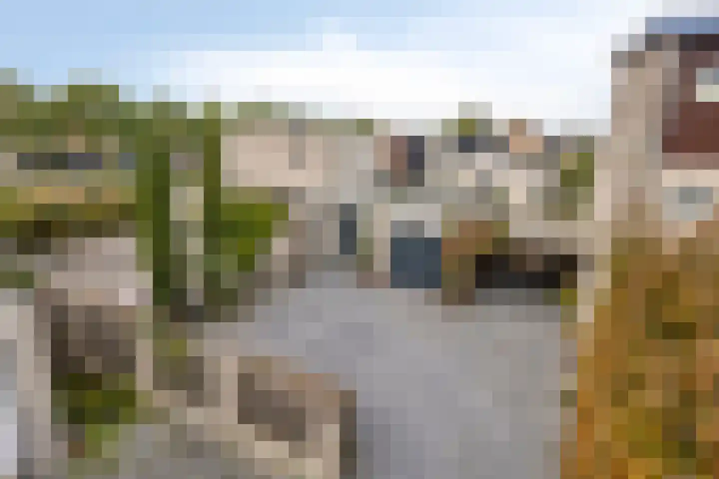 Lemmerhengst 12 Bergen op Zoom thumbnail 61