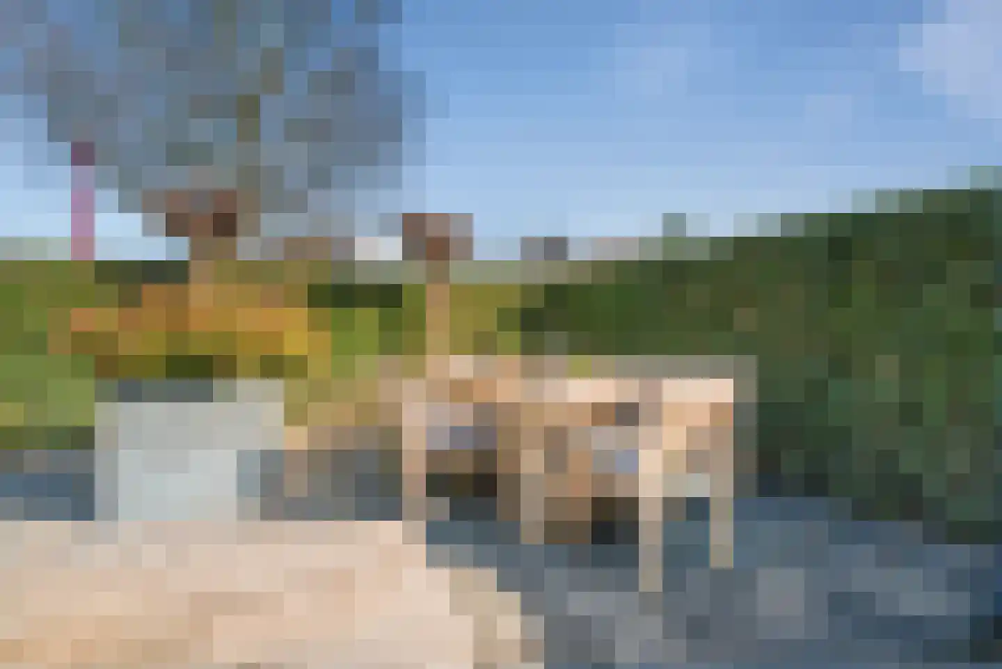 Lemmingweide 12 Nieuwegein thumbnail 15