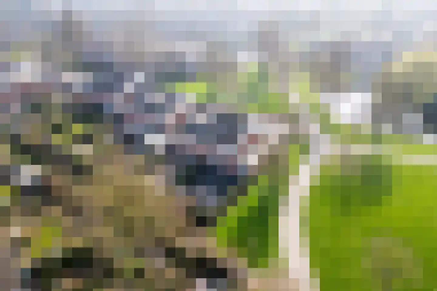 Lemmingweide 12 Nieuwegein thumbnail 53