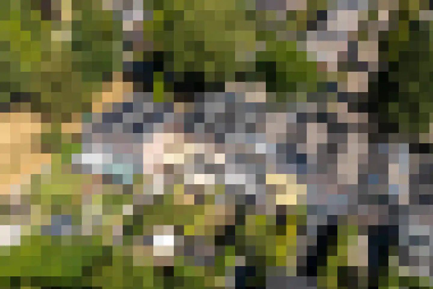 Lemmingweide 9 Nieuwegein thumbnail 53