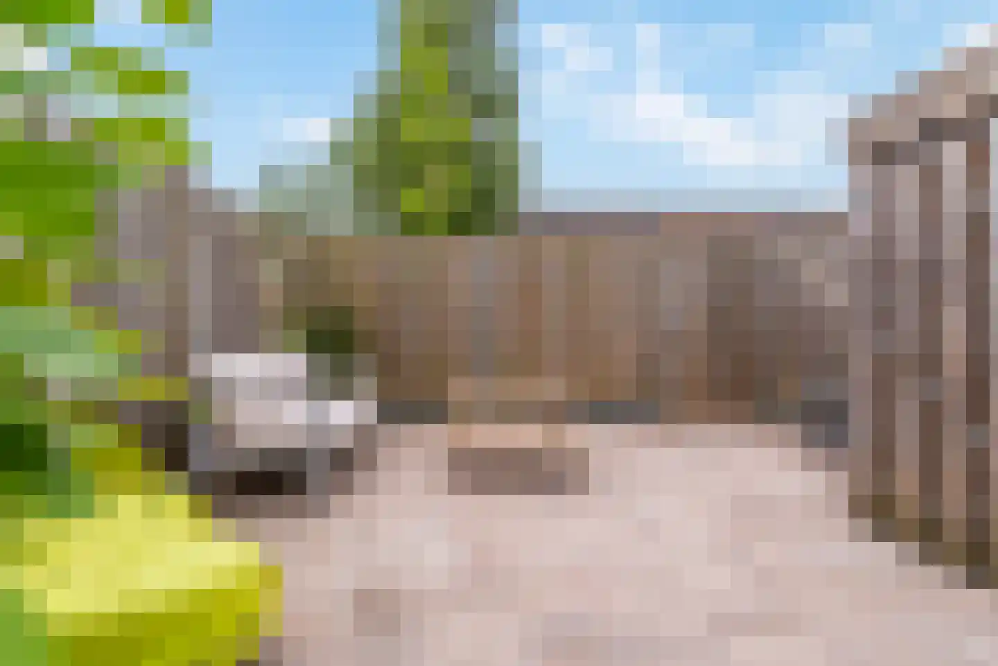 Lemoen 24 Veenendaal thumbnail 33