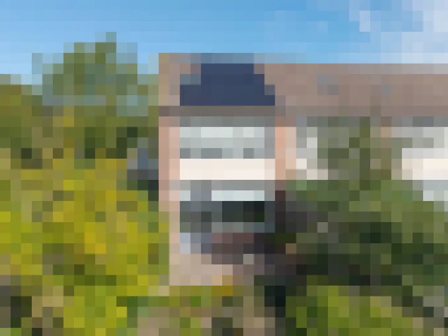 Lemoen 31 Veenendaal thumbnail 26