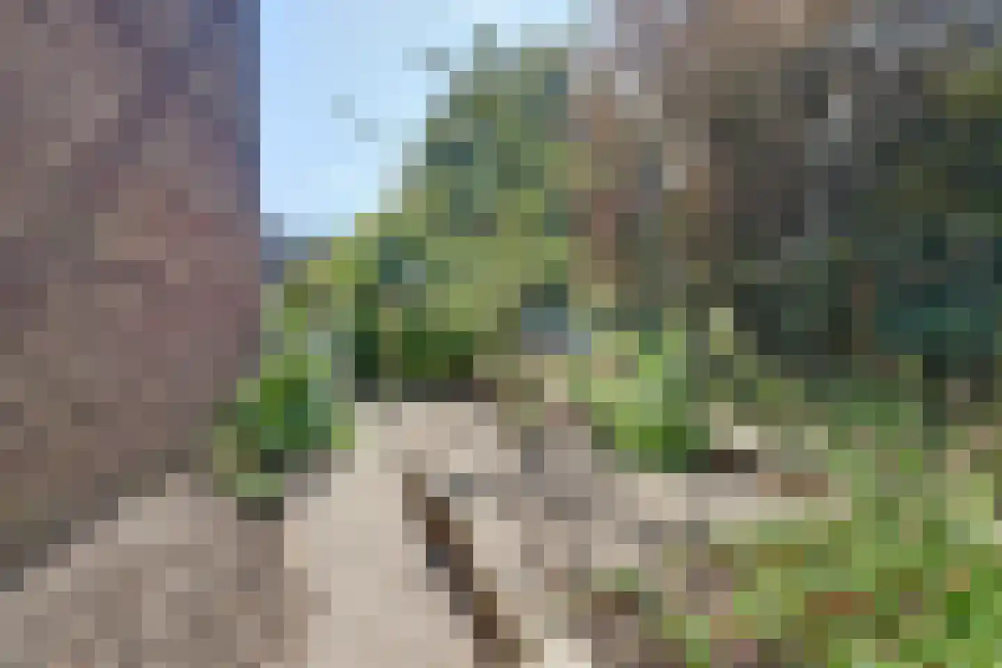 Lemoen 31 Veenendaal thumbnail 27