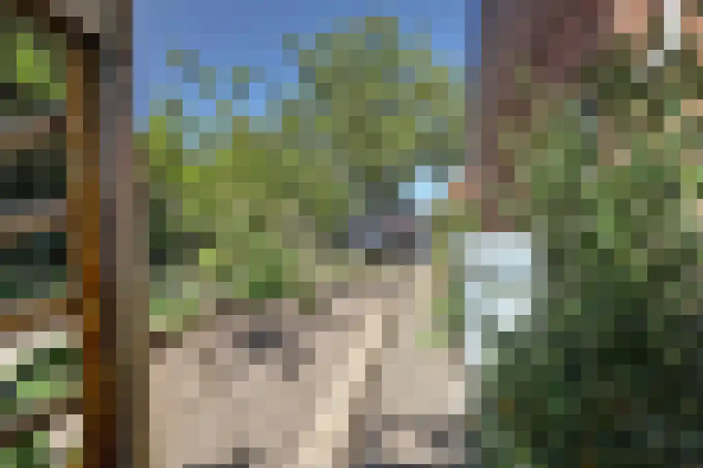 Lemoen 31 Veenendaal thumbnail 28
