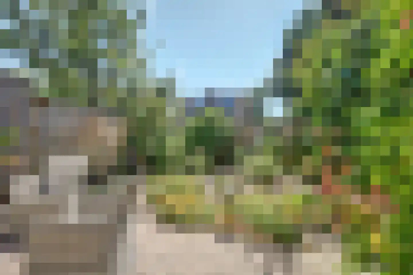 Lemoen 31 Veenendaal thumbnail 30