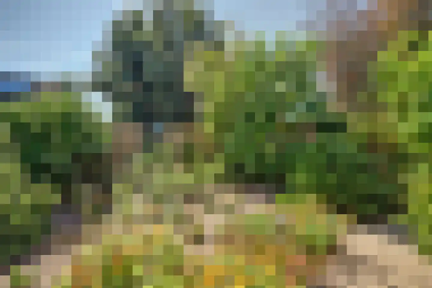 Lemoen 31 Veenendaal thumbnail 31
