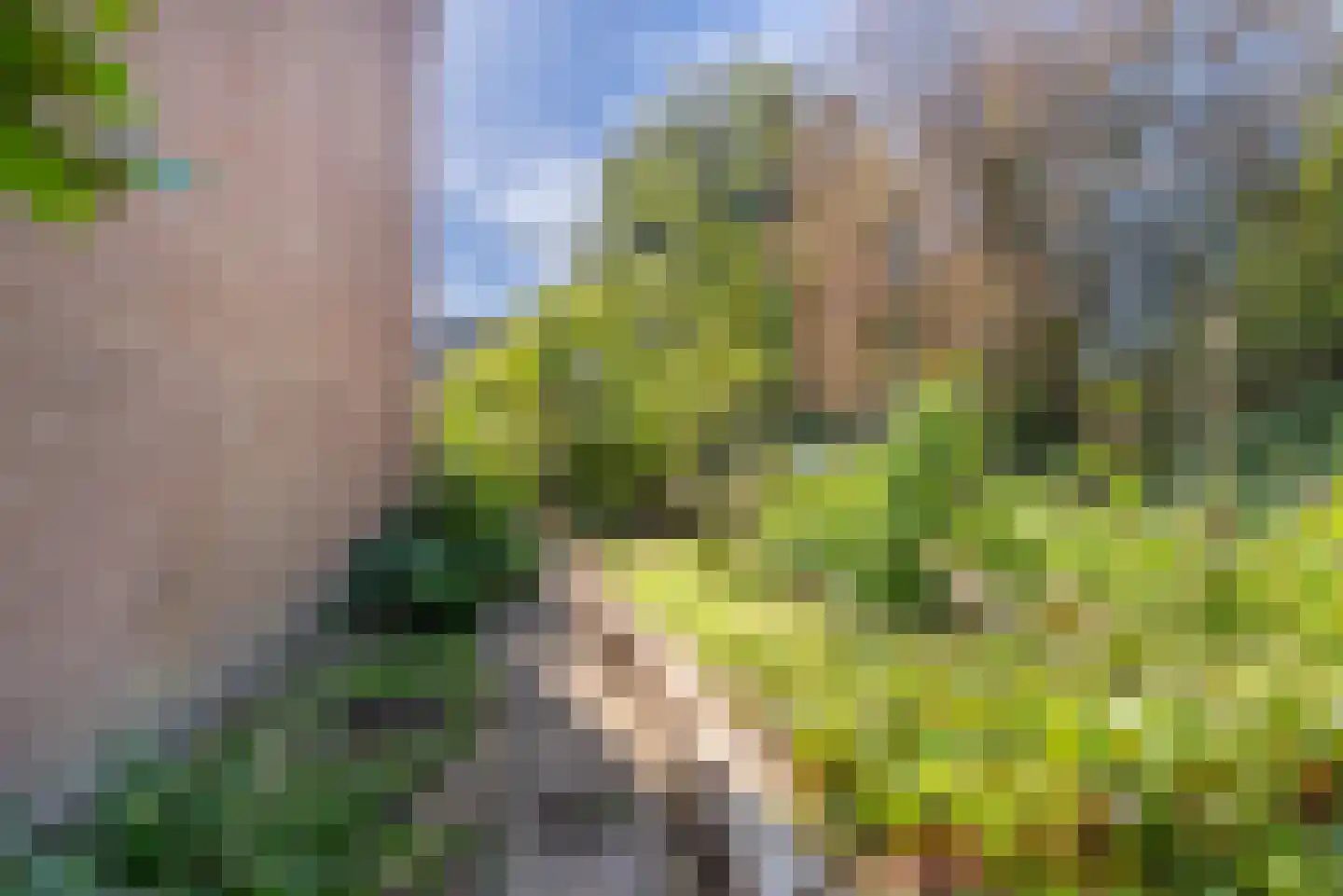 Lemoen 31 Veenendaal thumbnail 31