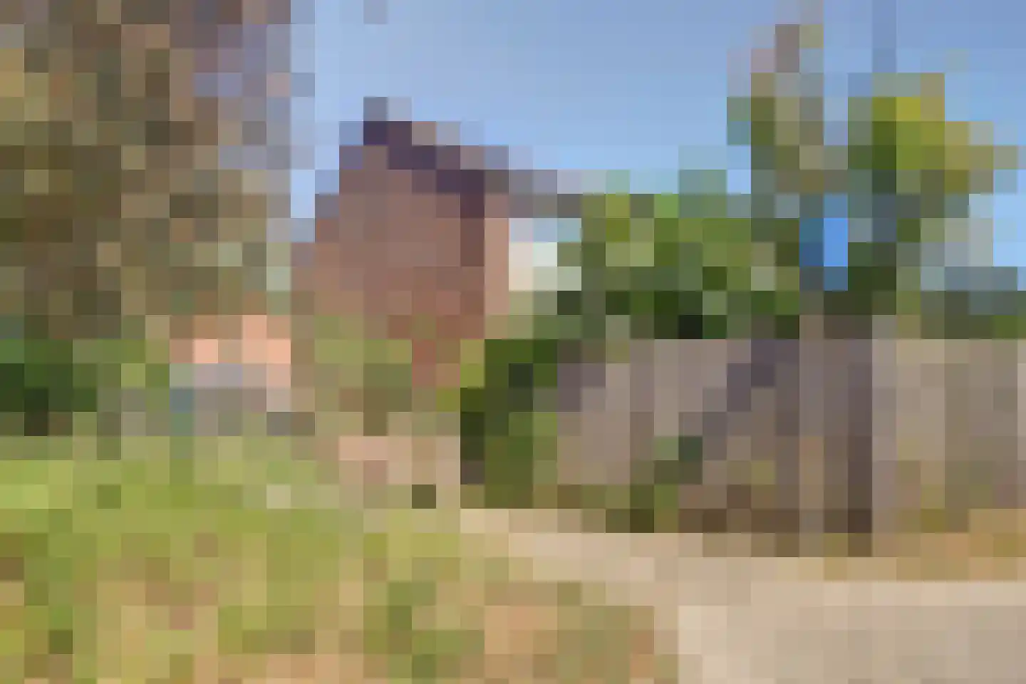 Lemoen 31 Veenendaal thumbnail 32