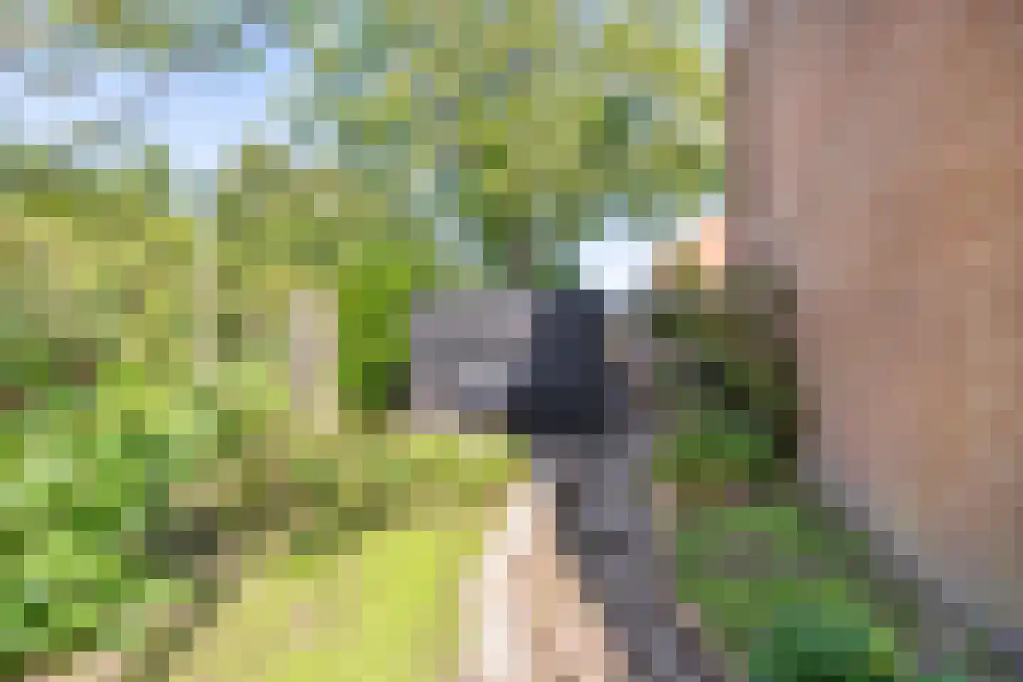 Lemoen 31 Veenendaal thumbnail 32