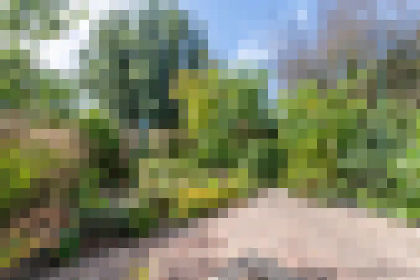 Lemoen 31 Veenendaal thumbnail 33