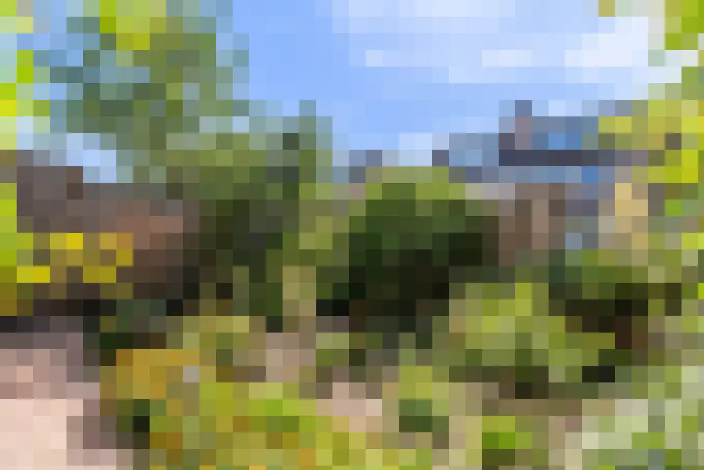 Lemoen 31 Veenendaal thumbnail 34