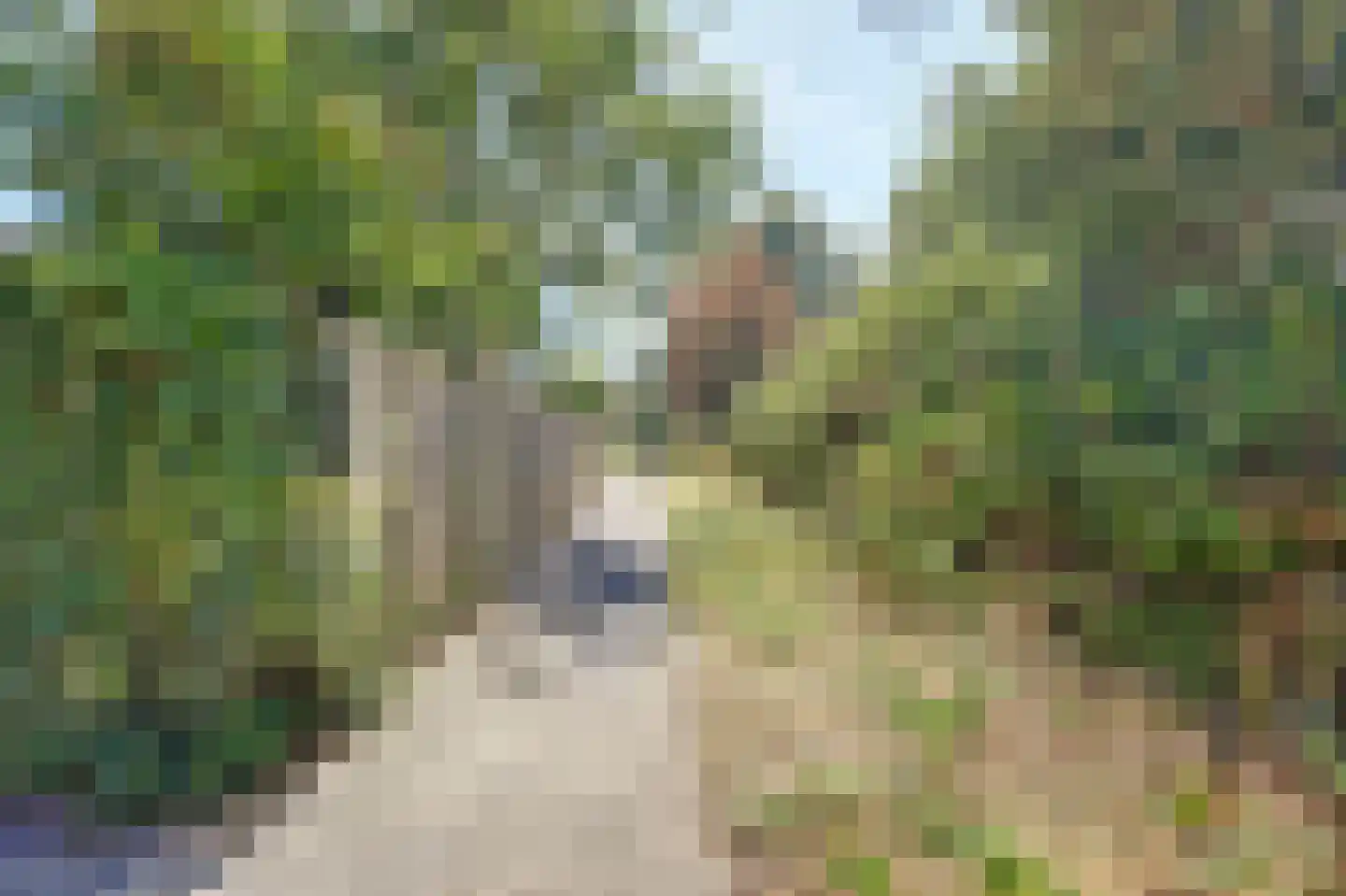 Lemoen 31 Veenendaal thumbnail 35