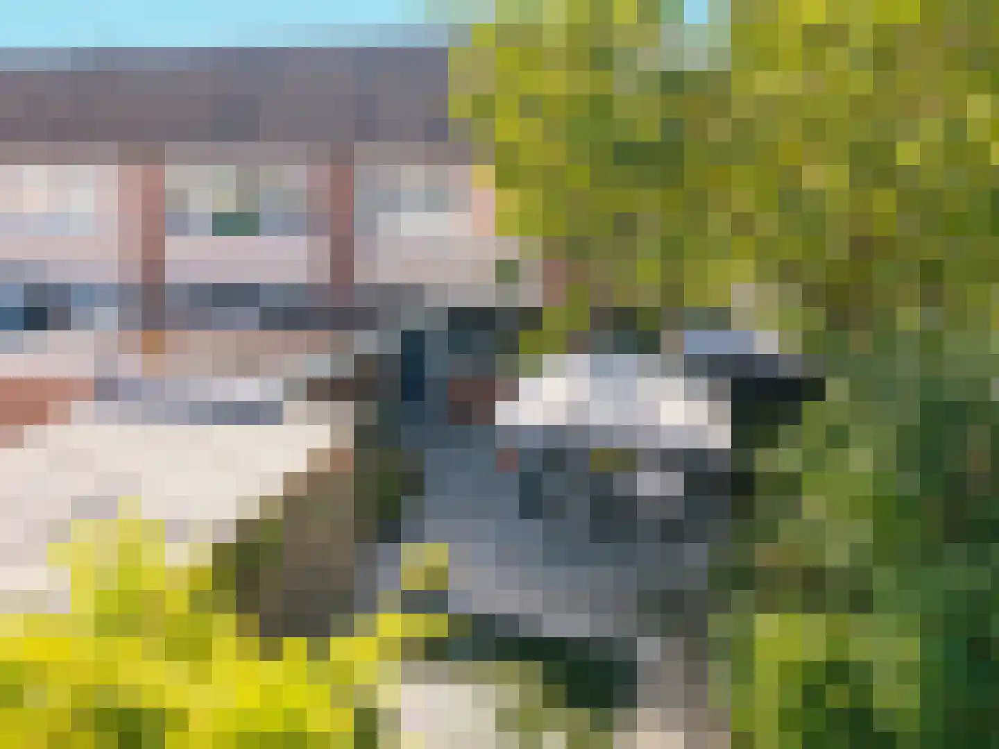 Lemoen 31 Veenendaal thumbnail 39