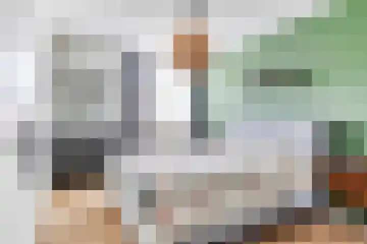 Lemoen 37 Eijsden thumbnail 17