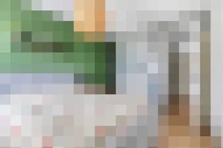 Lemoen 37 Eijsden thumbnail 18