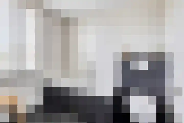 Lemoen 37 Eijsden thumbnail 21