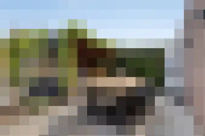 Lemoen 37 Eijsden thumbnail 30