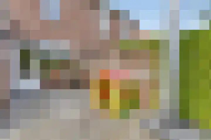 Lemoen 37 Eijsden thumbnail 33
