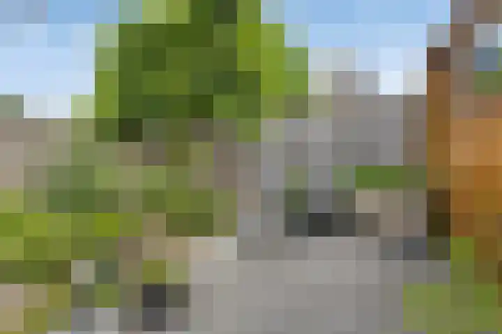 Lemoen 37 Eijsden thumbnail 36