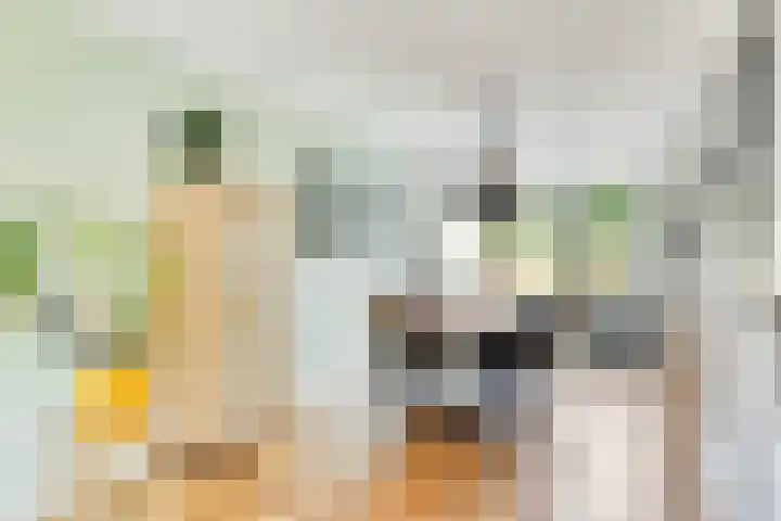 Lemoen 37 Eijsden thumbnail 7