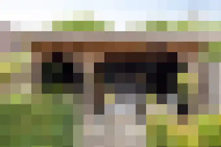 Lemoen 67 Veenendaal thumbnail 20
