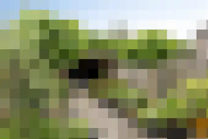 Lemoen 67 Veenendaal thumbnail 21