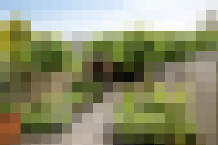 Lemoen 67 Veenendaal thumbnail 22