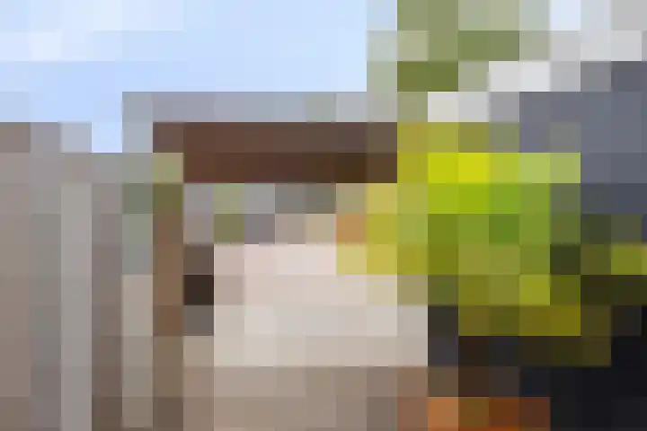 Lemoen 67 Veenendaal thumbnail 25