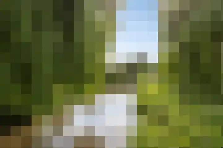 Lemoen 67 Veenendaal thumbnail 28