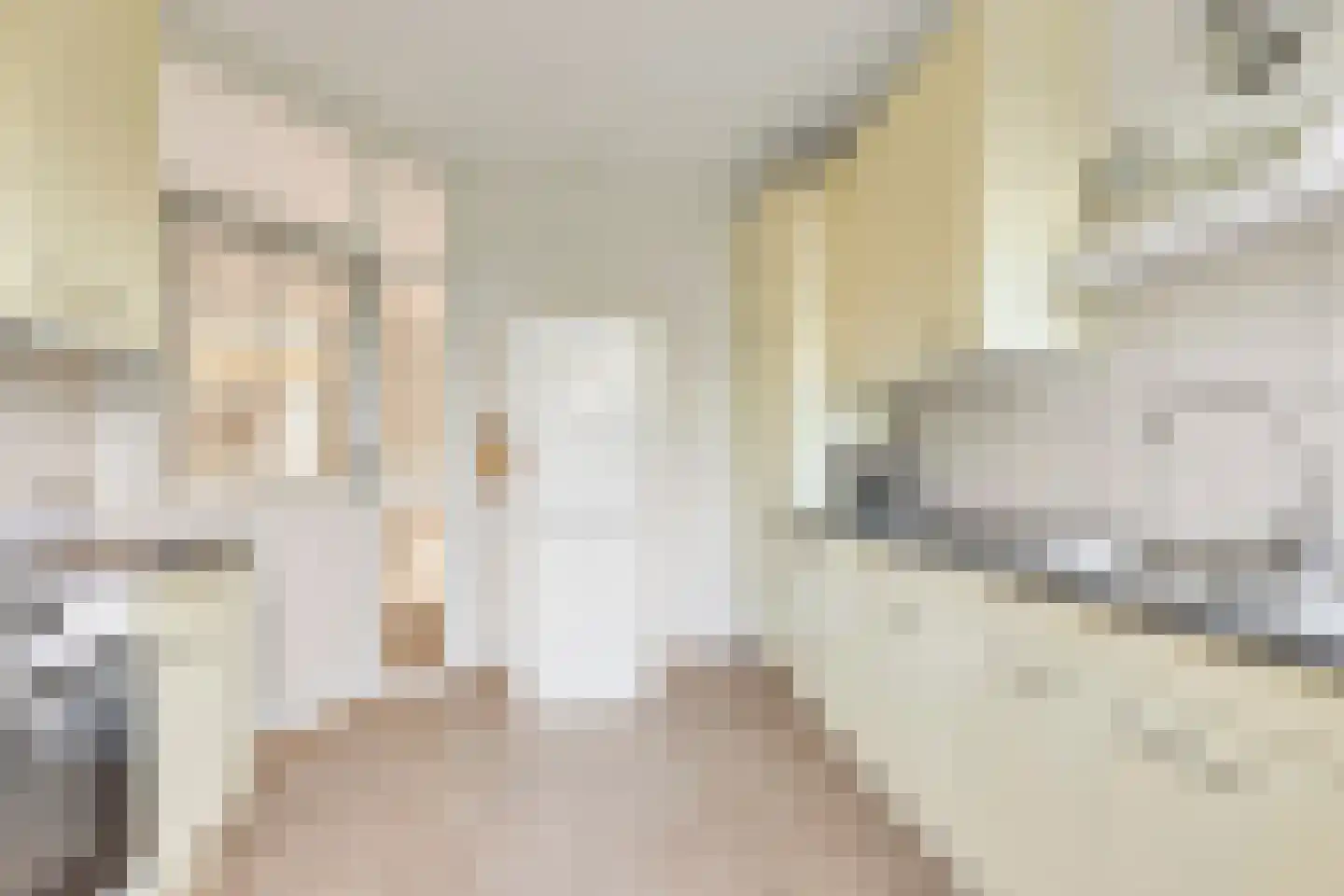 Lemoen 7 Huissen thumbnail 15