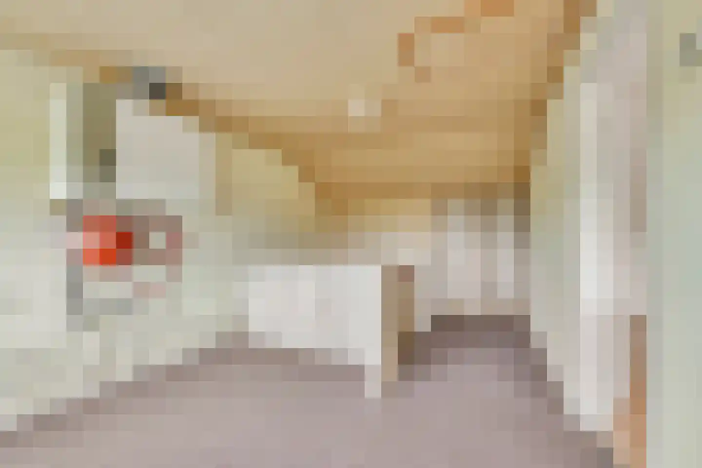 Lemoen 7 Huissen thumbnail 25