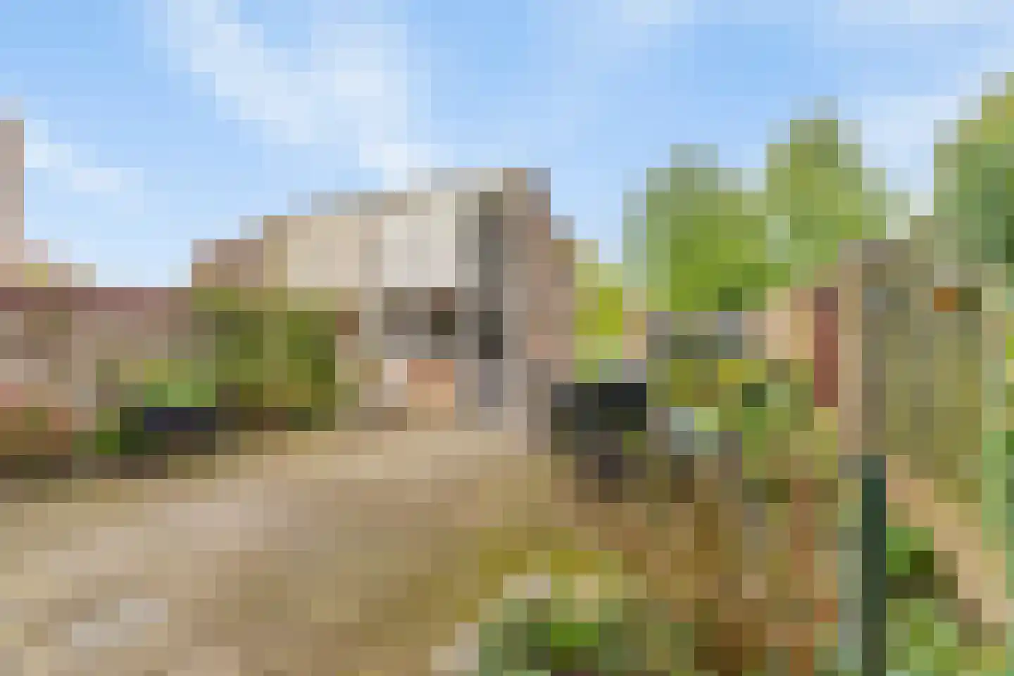 Lemoen 7 Huissen thumbnail 31