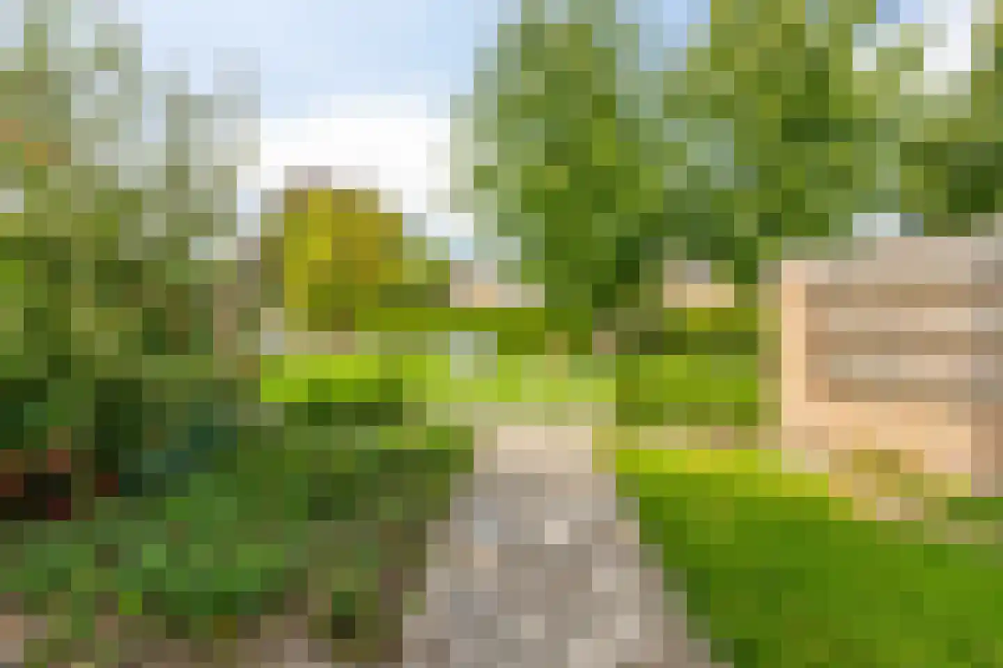 Lemoen 7 Huissen thumbnail 33