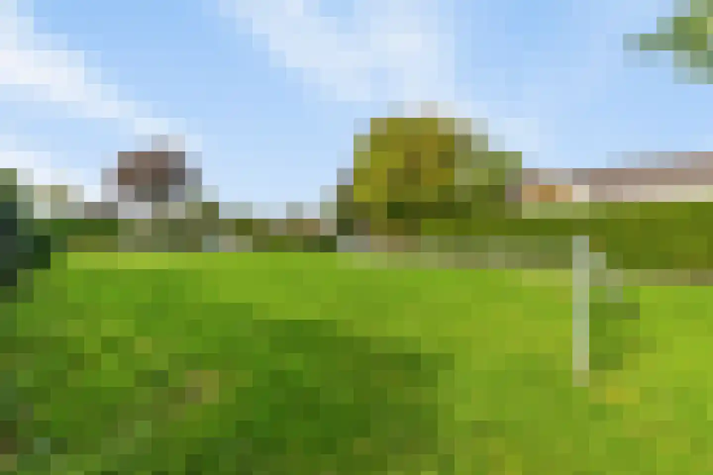 Lemoen 7 Huissen thumbnail 34