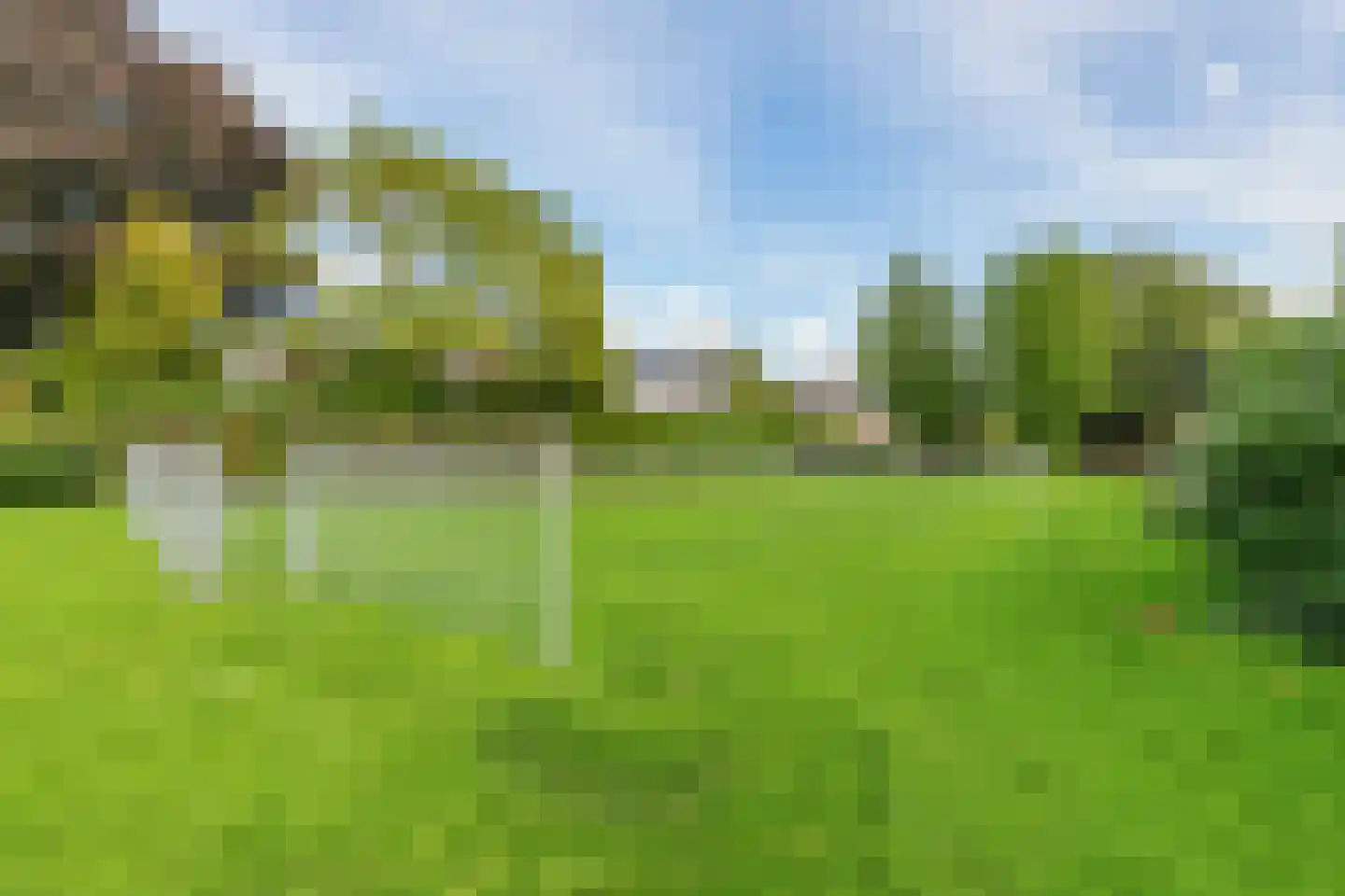 Lemoen 7 Huissen thumbnail 35