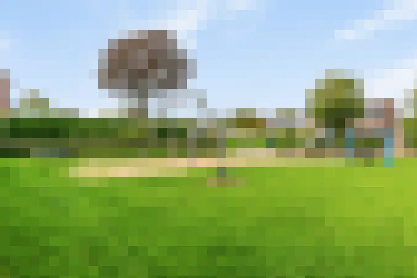 Lemoen 7 Huissen thumbnail 36