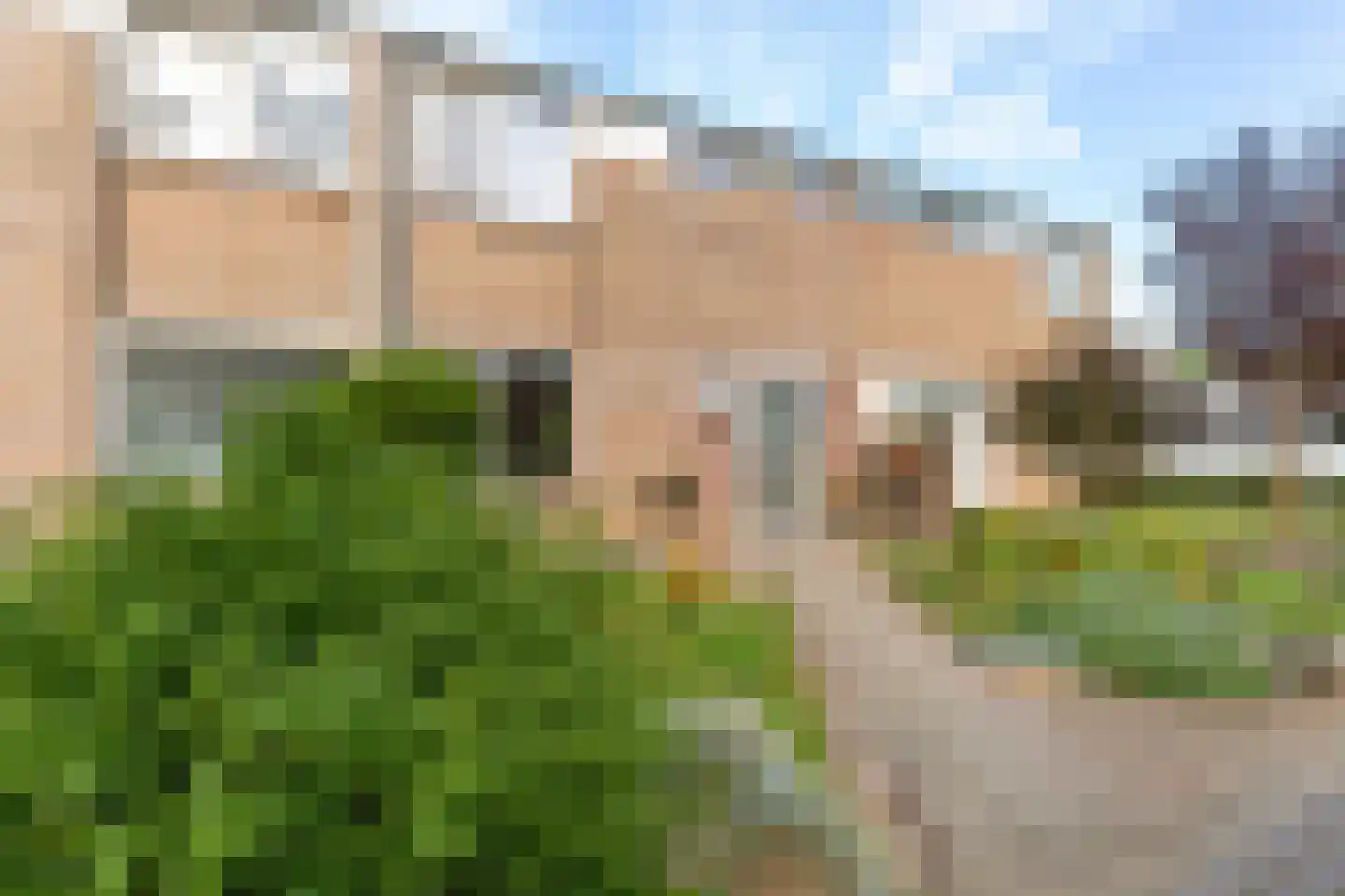 Lemoen 7 Huissen thumbnail 37