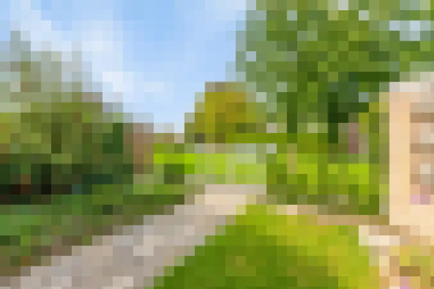 Lemoen 7 Huissen thumbnail 4