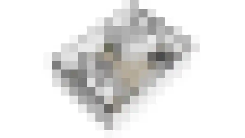 Lemoen 7 Huissen thumbnail 41