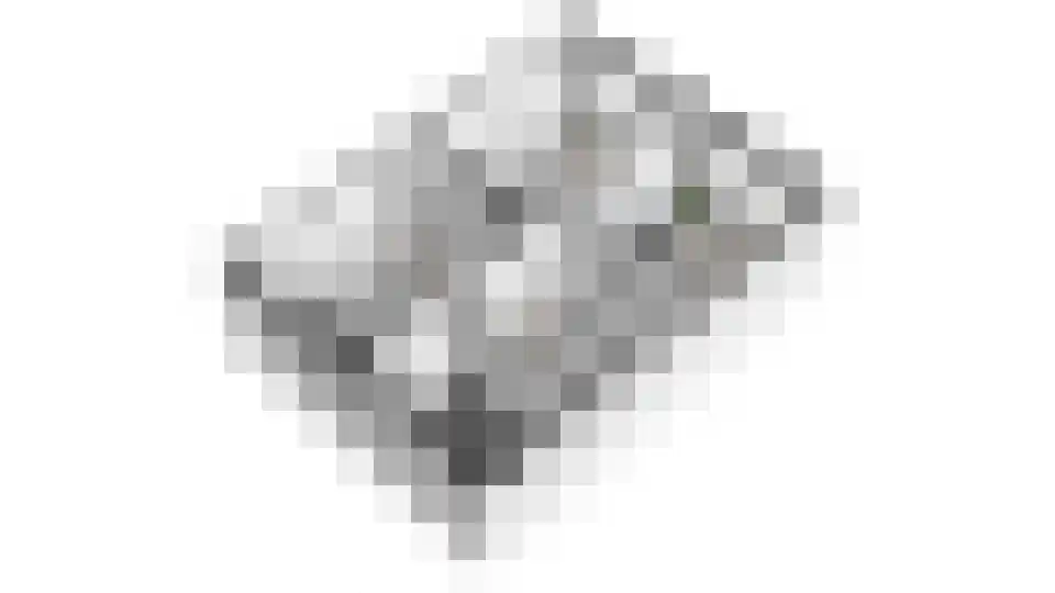Lemoen 7 Huissen thumbnail 44