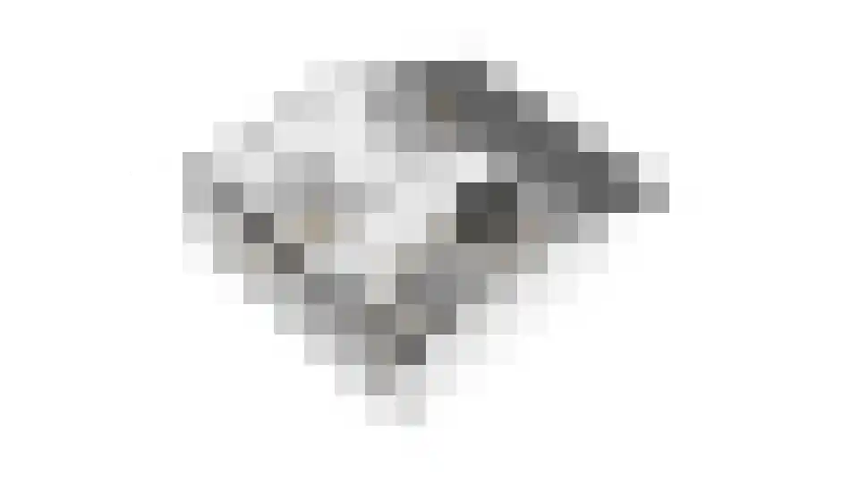 Lemoen 7 Huissen thumbnail 46