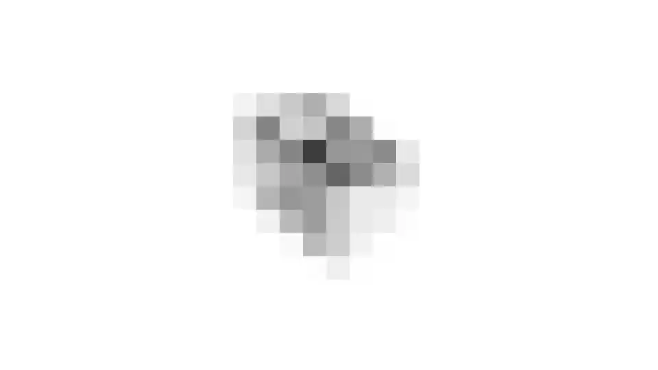 Lemoen 7 Huissen thumbnail 49