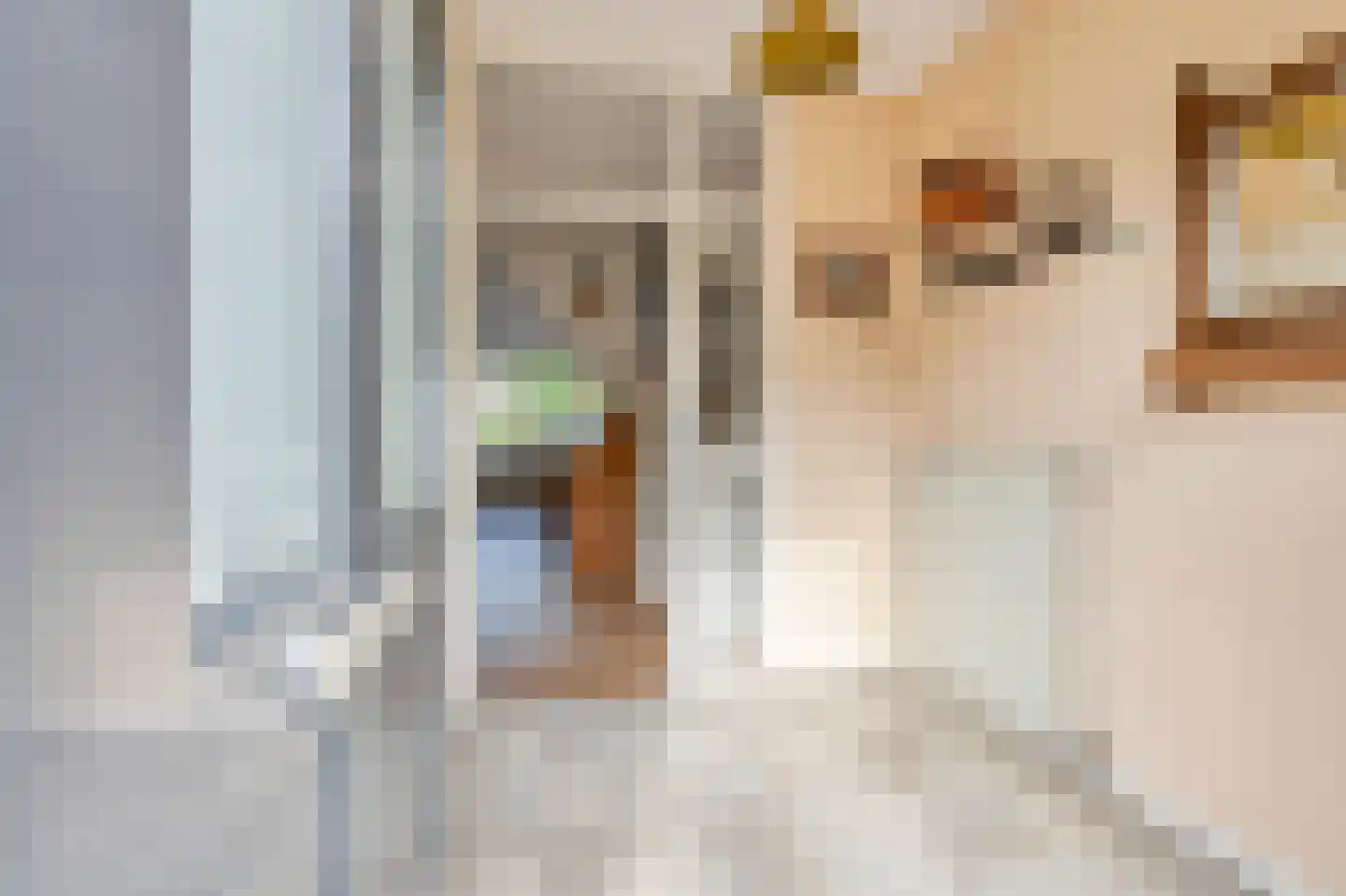 Lemoen 7 Huissen thumbnail 6